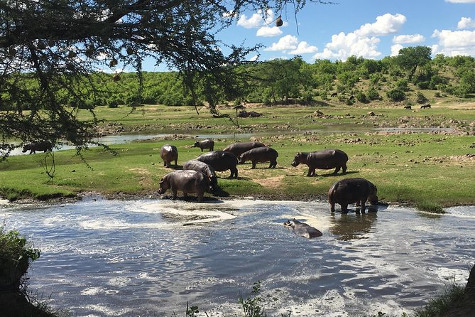 3 Days Unique safari Selous Game Reserve Tanzania - Why Selous makes a different safari choice