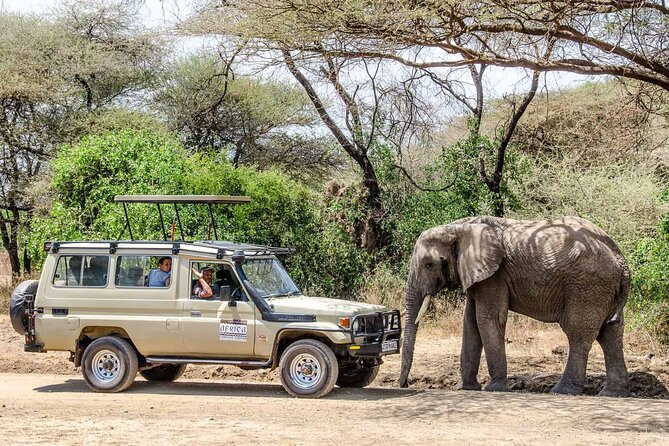 3Days luxury safari to Tarangire Ngorongoro crater and Manyara - Day 1: Tarangire’s elephants and open tree savanna