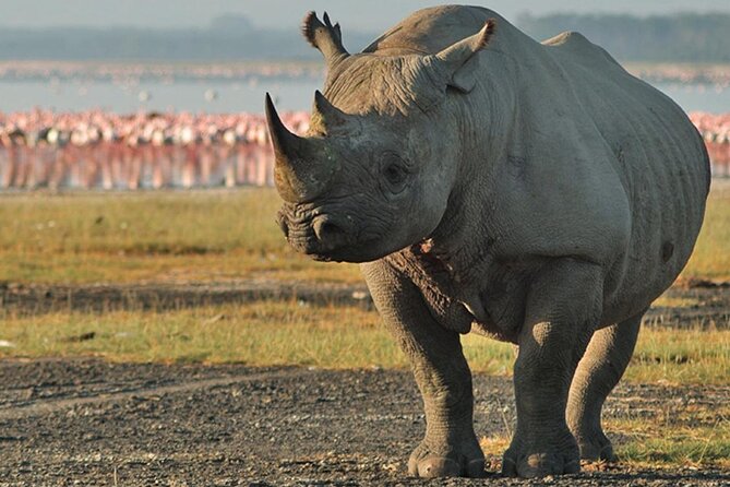 3Days Safari to Tarangire Ngorongoro and manyara lodge safari - Who should book this safari?