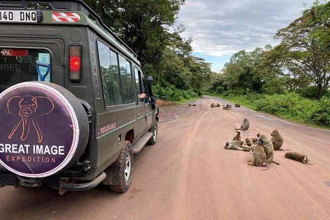 3days Serengeti National park and Ngorongoro Crater Tanzania Safari - What $1,499 buys you on this Tanzania safari