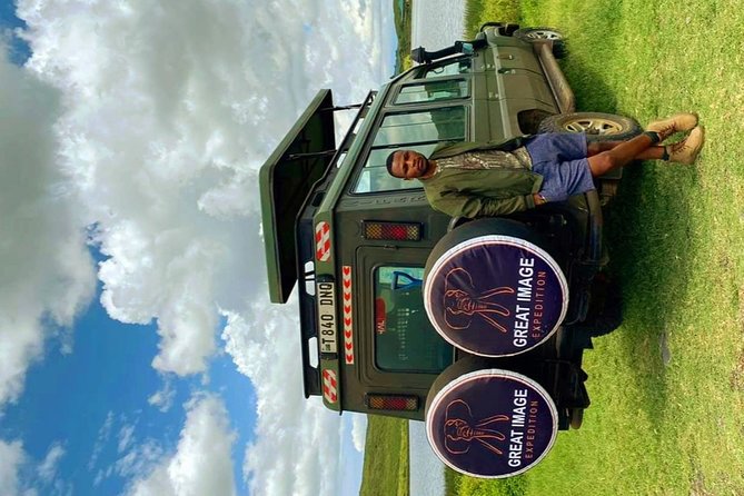 3days Serengeti National park and Ngorongoro Crater Tanzania Safari - Day two: an early Serengeti drive and the road to Ngorongoro