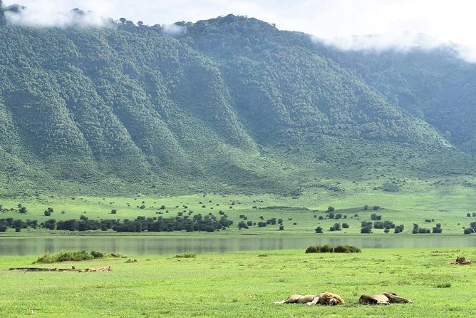 3days Serengeti National park and Ngorongoro Crater Tanzania Safari - Day one: Arusha to the Serengeti’s open plains