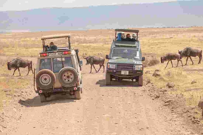 4-Day Basic Safari with Serengeti, Ngorongoro, & Tarangire - What this safari offers for $1,745.56