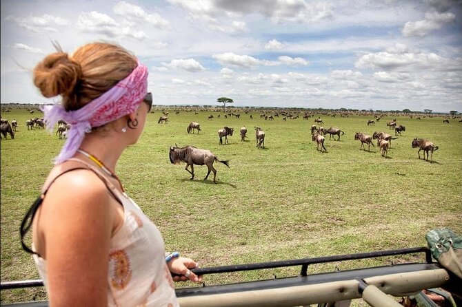4-Day Basic Safari with Serengeti, Ngorongoro, & Tarangire - Camping, meals, and the practical side of the trip