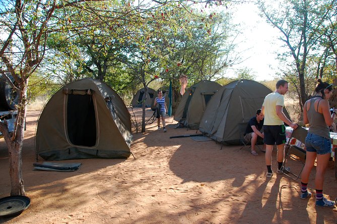 4-Day Basic Safari with Serengeti, Ngorongoro, & Tarangire - What the strongest feedback tells you