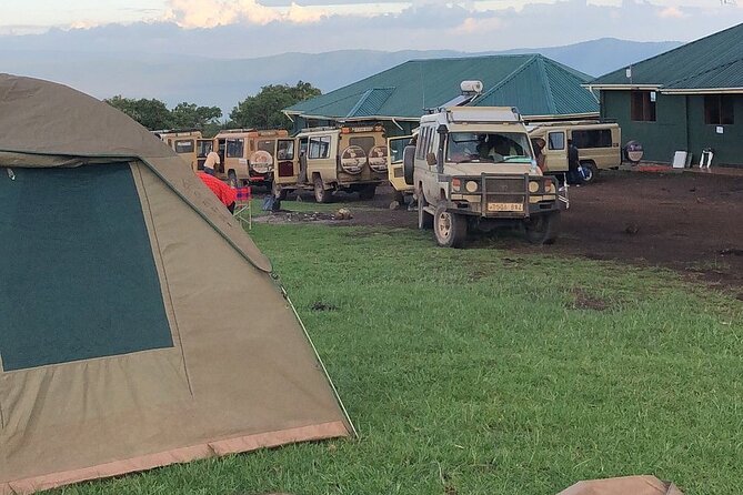 4-Day Budget Tarangire, Serengeti, Ngorongoro Safari Guided Tour - Day three combines Serengeti wildlife with a move to Ngorongoro