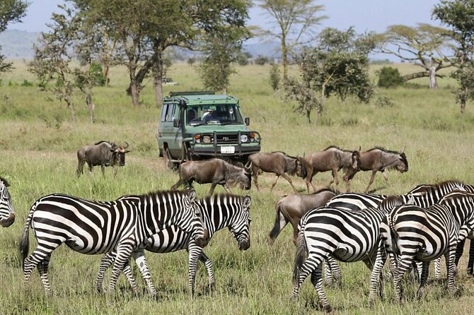 4-Day Budget Tarangire, Serengeti, Ngorongoro Safari Guided Tour - Food is a real strength of this budget trip