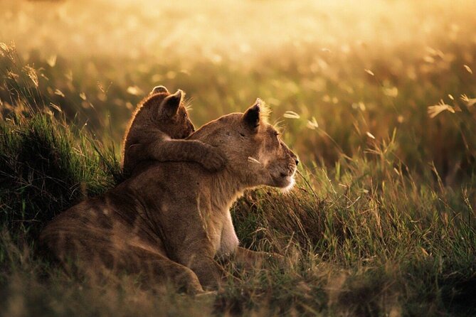 4-Day Budget Tarangire, Serengeti, Ngorongoro Safari Guided Tour - Who will enjoy this safari most