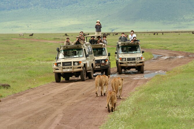 4-Day Camping on the Big Five Private Safari - Day 4: The Ngorongoro Crater floor