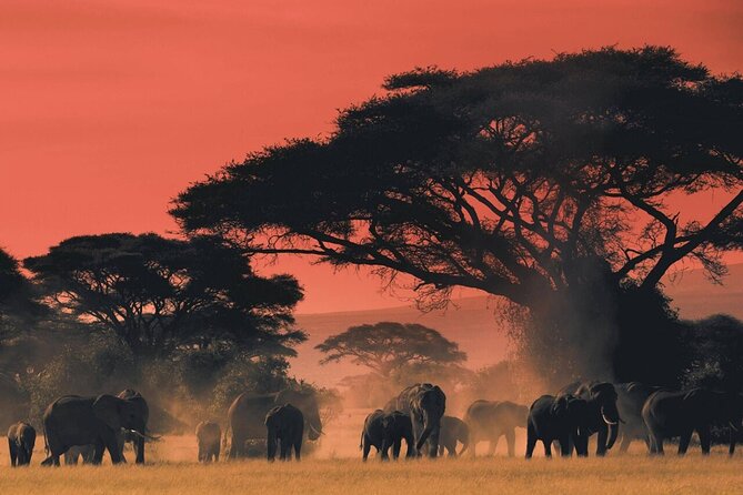 4-Day fascinating Camping Safari in Tanzania - Day two: the long road into the Serengeti