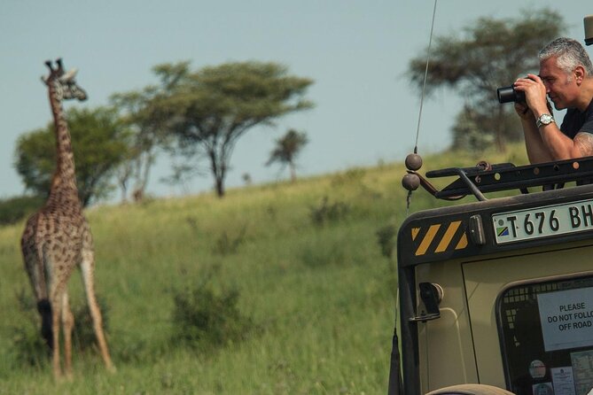 4 Day Great Migration Safari Serengeti & Ngorongoro Crater - Day three: another Serengeti drive, then Ngorongoro