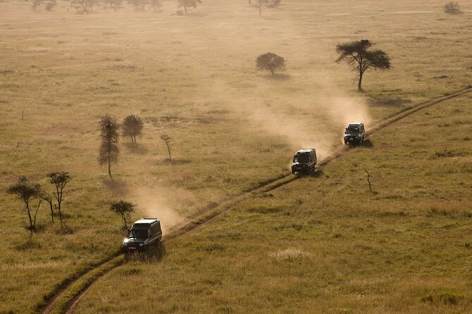 4 Day Great Migration Safari Serengeti & Ngorongoro Crater - What the $2,680 price includes