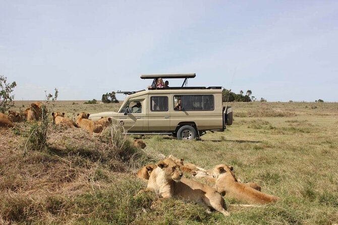 4 Day Great Migration Safari Serengeti & Ngorongoro Crater - Guides, comfort, and the road experience
