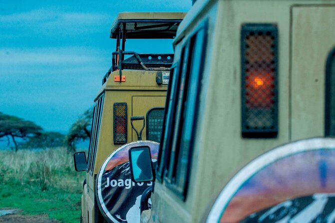 4-Day Group Joining Safari in Tanzania | Shared Safari - Day 2: Crossing the highlands into central Serengeti