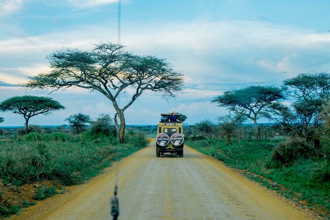 4-Day Group Joining Safari in Tanzania | Shared Safari - Is $998 a fair price?
