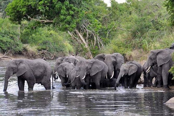 4-Day Group Tour to Tarangire, Serengeti, Ngorongoro - Lodge - Day 2: The long road to Serengeti