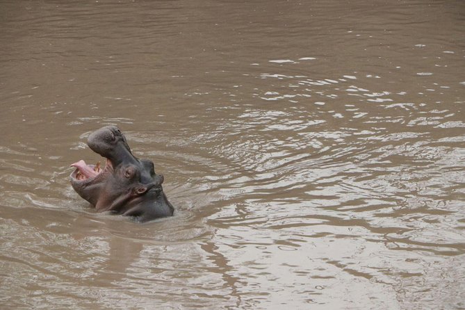 4-Day Group Tour to Tarangire, Serengeti, Ngorongoro - Lodge - Is $1,760 a fair price?