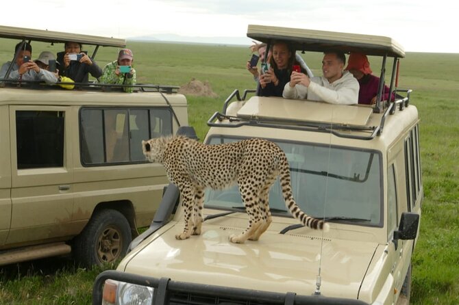 4-Day Lodge Private Tour to Tarangire, Serengeti and Ngorongoro - Day three: sunrise in Central Serengeti