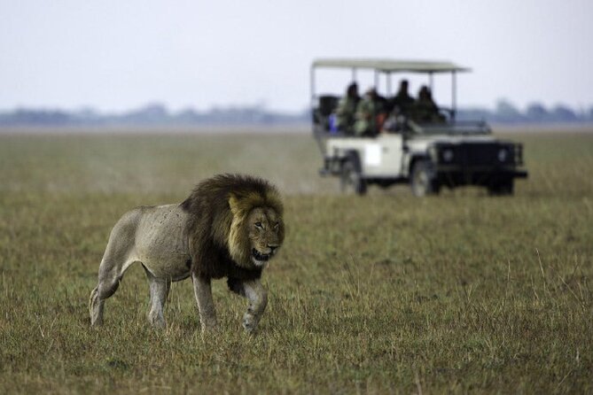 4-Day Manyara Serengeti and Ngorongoro Wonders Budget Safari Tour - The guide and Jeep can make or break the trip