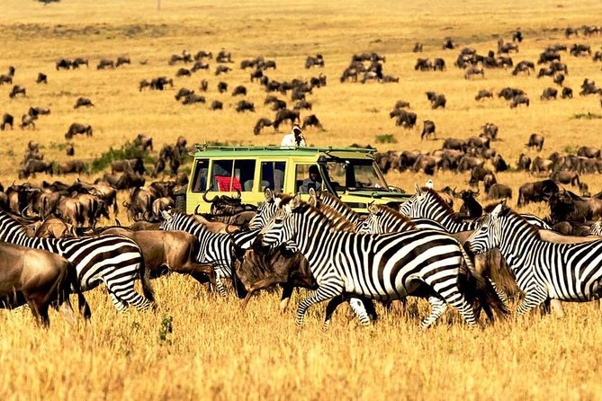4 Day Mid-range Private Roundtrip Flying from Zanzibar - Day two: crossing toward northern Serengeti