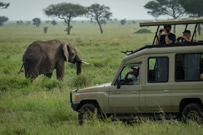 4 Day Ngorongoro Crater Tarangire and Serengeti National Park - Day three: Sunrise in central Serengeti
