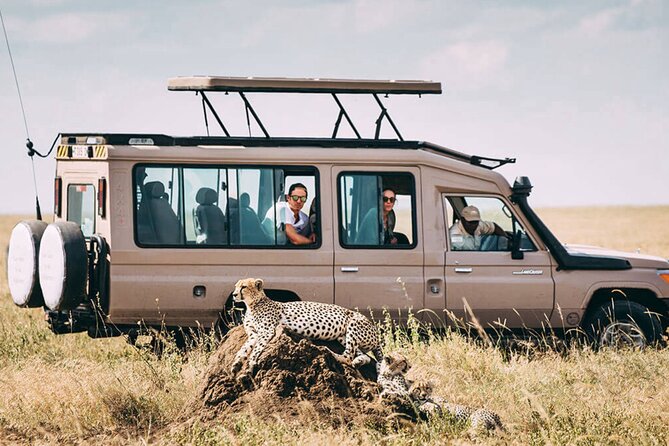 4 Day Ngorongoro Crater Tarangire and Serengeti National Park - Camping, meals, and comfort
