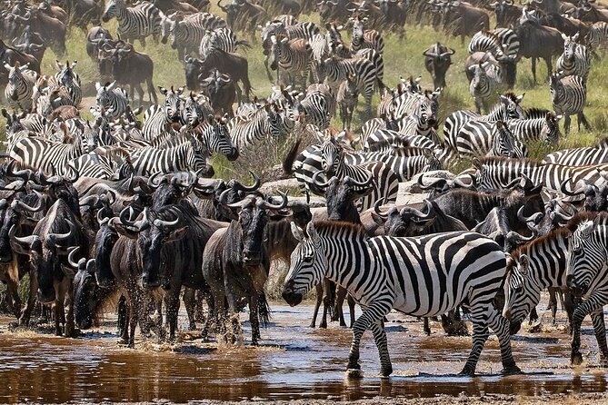 4-Day Northern Tanzania Camping Tour Safari - What this five-day schedule really means