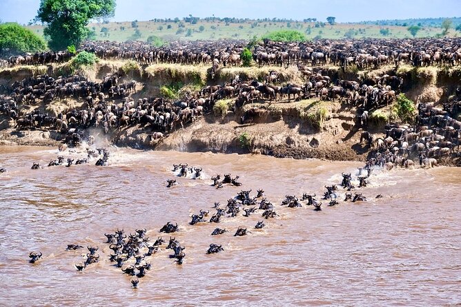 4-Day Northern Tanzania Camping Tour Safari - Day 1 in Arusha: a useful arrival night