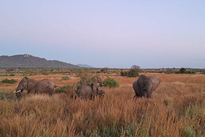 4-Day Private Lake Natron and Serengeti Wildlife Safari - Day 4: Lake Manyara and the drive back to Arusha