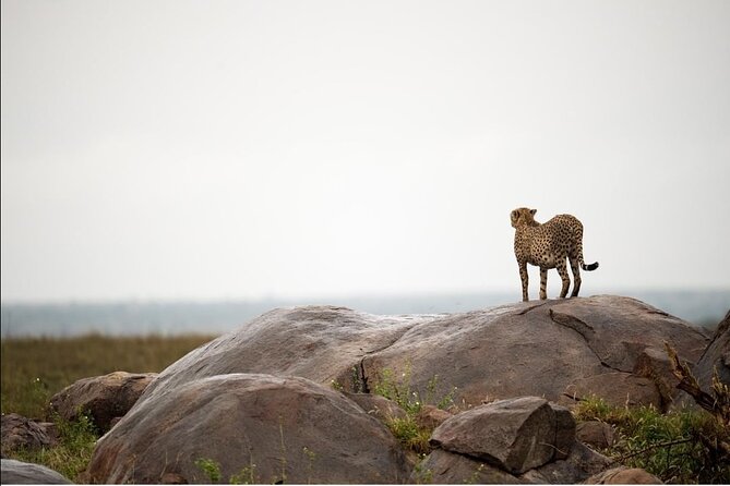 4-Day Private Lake Natron and Serengeti Wildlife Safari - Day 1: Arusha to Lake Natron and the flamingo lake