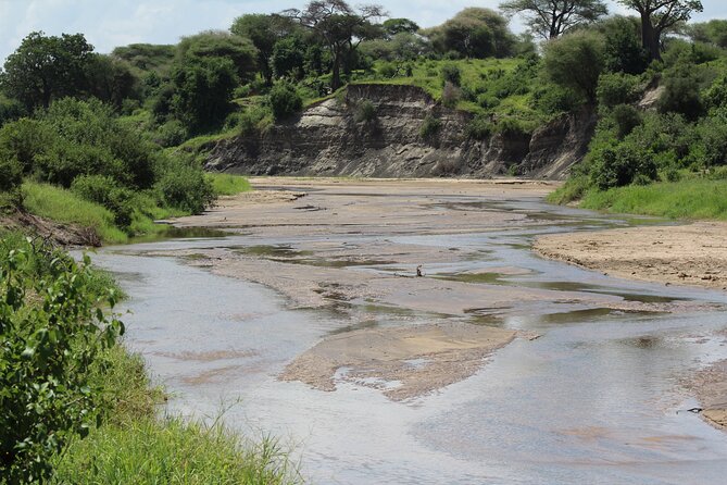 4-Day Safari in Tarangire, Serengeti & Ngorongoro (Mid-range) - Day 4: Ngorongoro packs dramatic scenery into one crater