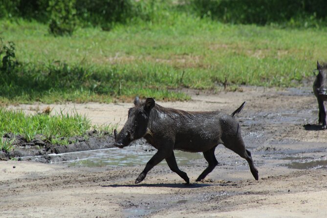 4-Day Safari in Tarangire, Serengeti & Ngorongoro (Mid-range) - Meals, lodging, and the real value of $3,210