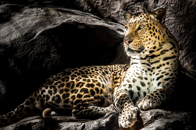 4 Day Safari- Tarangire,Ngorongoro and Serengeti - Why this northern Tanzania route works so well
