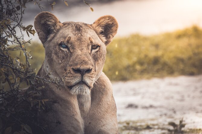 4 Day Safari- Tarangire,Ngorongoro and Serengeti - Serengeti and the scale of the Great Migration