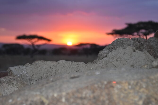 4 Day Safari- Tarangire,Ngorongoro and Serengeti - Ngorongoro Crater and the rhino possibility