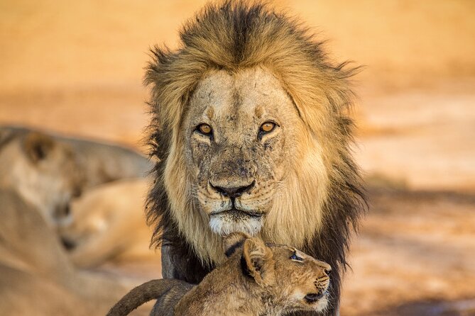 4 Day Safari- Tarangire,Ngorongoro and Serengeti - What the $3,984 price really includes
