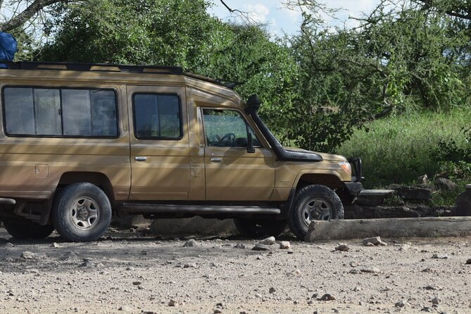 4-Day Safari to Tarangire ,Serengeti and Ngorongoro crater from Arusha - Day 4: Sunrise and wildlife inside Ngorongoro Crater