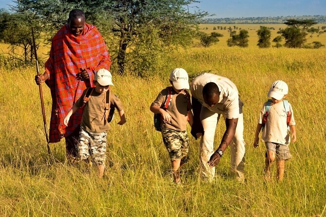4-Day Safari to Tarangire ,Serengeti and Ngorongoro crater from Arusha - What the guides add to the experience