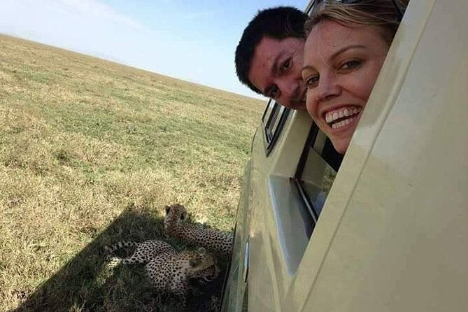 4-Day Safari to Tarangire, Serengeti and Ngorongoro from Arusha - Join a group - Day 1: Tarangire’s elephants and baobab country