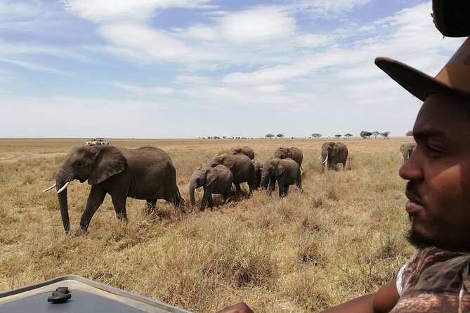 4-Day Safari to Tarangire, Serengeti and Ngorongoro from Arusha - Join a group - The guide can make or break the safari
