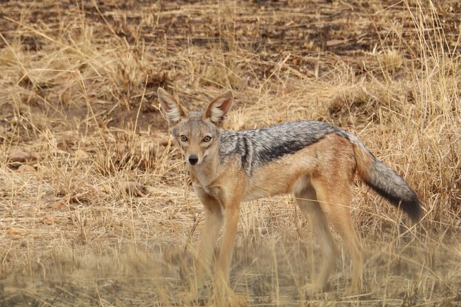 4 Day Serengeti and Ngorongoro crater - What the $1,980.52 price includes