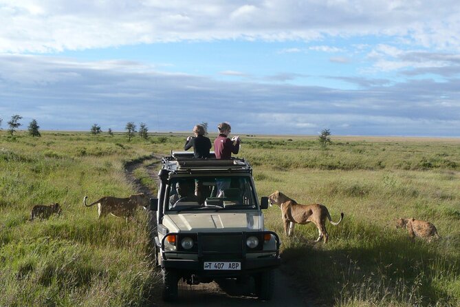 4-Day Serengeti, Ngorongoro, & Lake Manyara Budget Tour - Day 3: From Serengeti plains to Ngorongoro Crater
