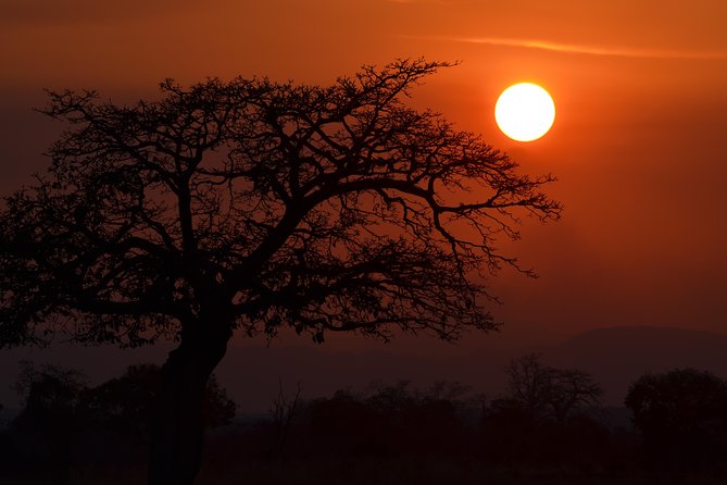 4 Day Serengeti & Ngorongoro Safari Wildlife Wonders of Tanzania - Wildlife expectations: exciting, but never guaranteed