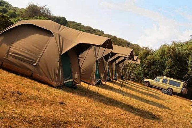 4-Day Serengeti, Ngorongoro,Tarangire safari - Ngorongoro Crater concentrates the wildlife
