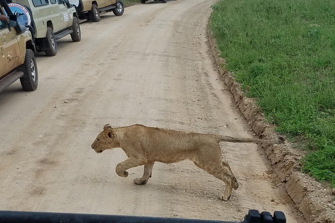 4-Day Serengeti, Ngorongoro,Tarangire safari - The Serengeti brings the widest sense of open space