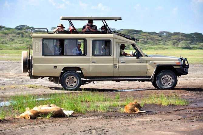 4-Day Tanzania Camping Safari to Lake Manyara, Serengeti, and Ngorongoro Crater - Camping, meals, and what the price really covers