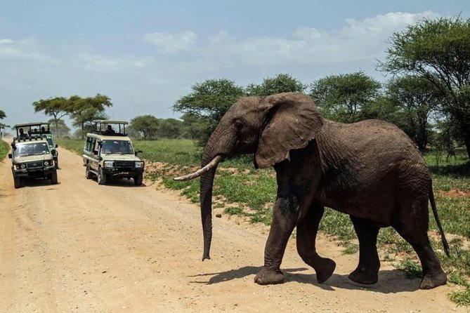 4-Day Tanzania Camping Safari to Lake Manyara, Serengeti, and Ngorongoro Crater - Guides, driving, and group size