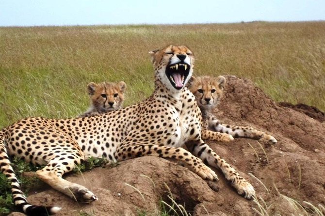 4 Day Tanzania Luxury Safari - Day 4: Descending into Ngorongoro Crater