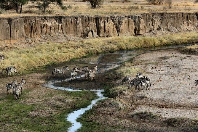 4 Day Tanzania Luxury Safari - What the luxury package includes