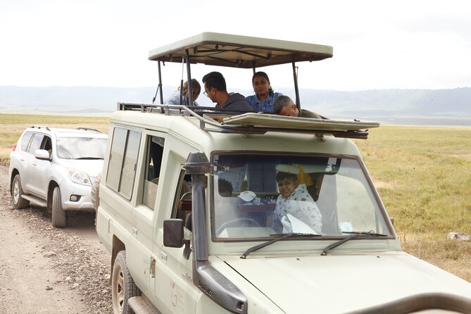 4-Day Tanzania Private Luxury Drive In-Drive Out Safari 2025-2026 - What this four-day safari does well